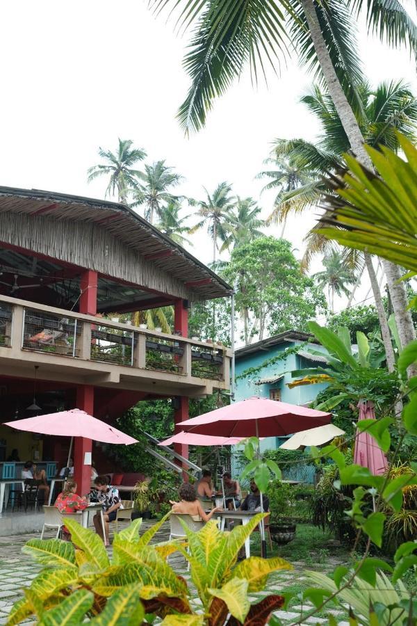 Mellow Hostel Sri Lanka Ahangama Dış mekan fotoğraf